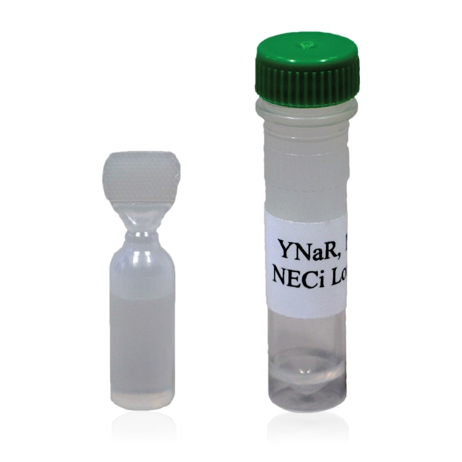 Nitrate Reductase, 1EA