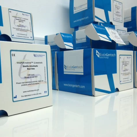 Equine infectious anemia virus One-Step PCR kit