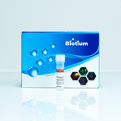 Annexin V, CF®488A Conjugate