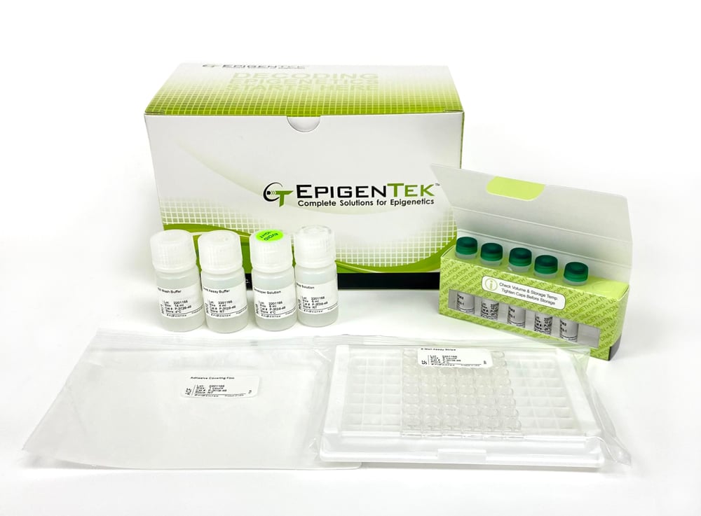 Methylamp DNA Modification Kit 