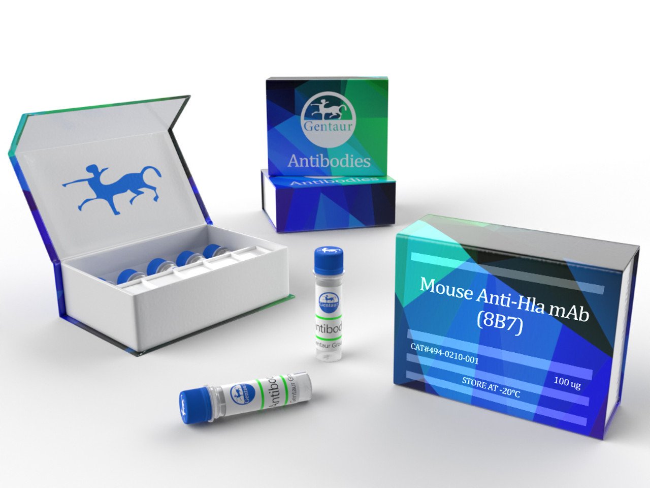 MethylFlash Global DNA Methylation (5-mC) ELISA Easy Kit (Colorimetric)