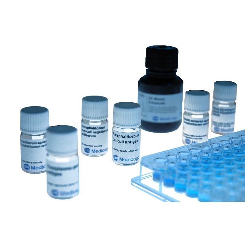 Protein L Ligand Leakage ELISA