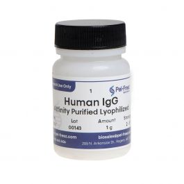 34031-10 HU IgG Affinity Pure Lyoph (10g)