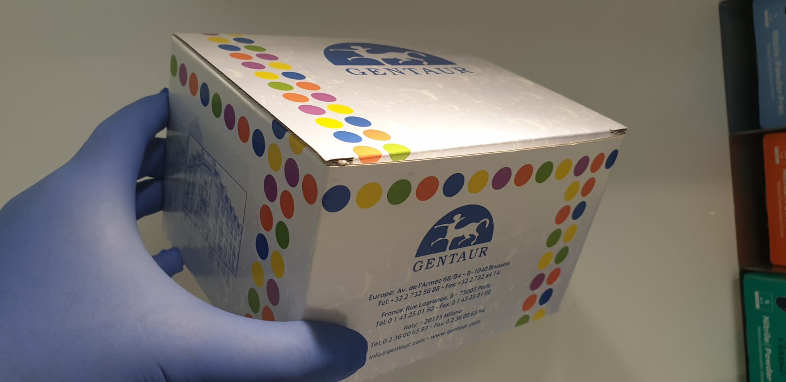 total collagen assay kit 96-assays