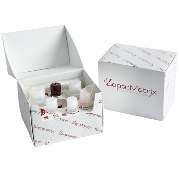 Glutathione Reductase Assay Kit (100 tests)